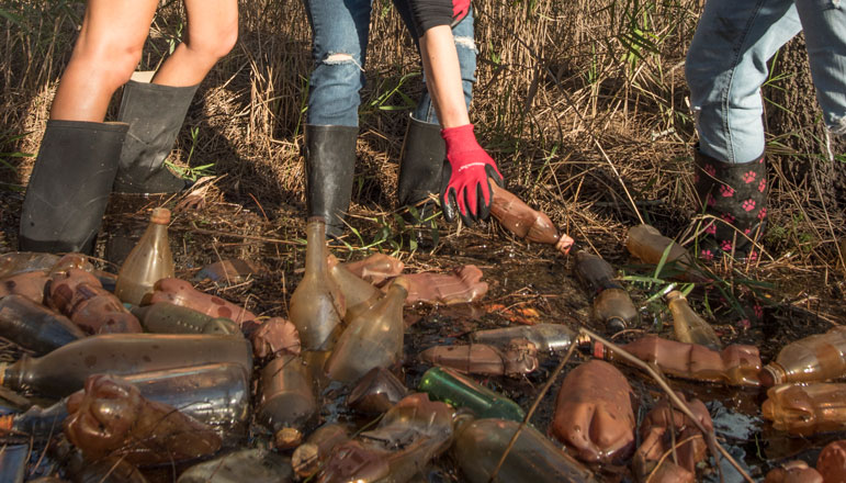 Clean the Mangroves